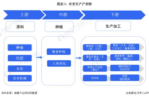 預(yù)見2021 中國(guó)種子行業(yè)全景圖譜——市場(chǎng)現(xiàn)狀、競(jìng)爭(zhēng)格局與發(fā)展趨勢(shì)，兼論人工智能應(yīng)用軟件開發(fā)前景